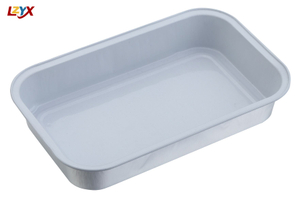 Airline Food Tray